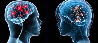 Փաստեր գլխուղեղի մասին. Ի՞նչ է կատարվում մարդու ուղեղի հետ քնած ժամանակ -  PanARMENIAN.Net